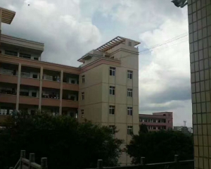 学校防护网