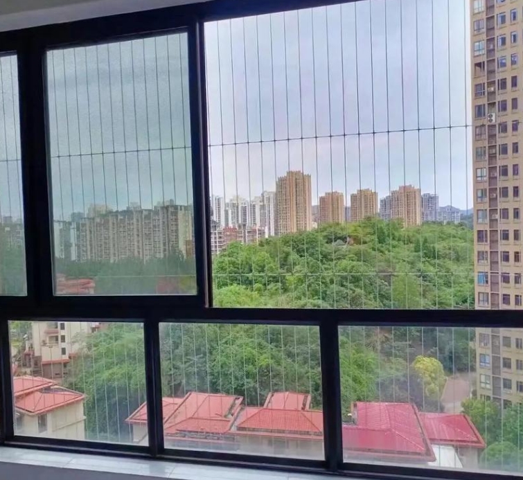 港特斯金隐形防护网